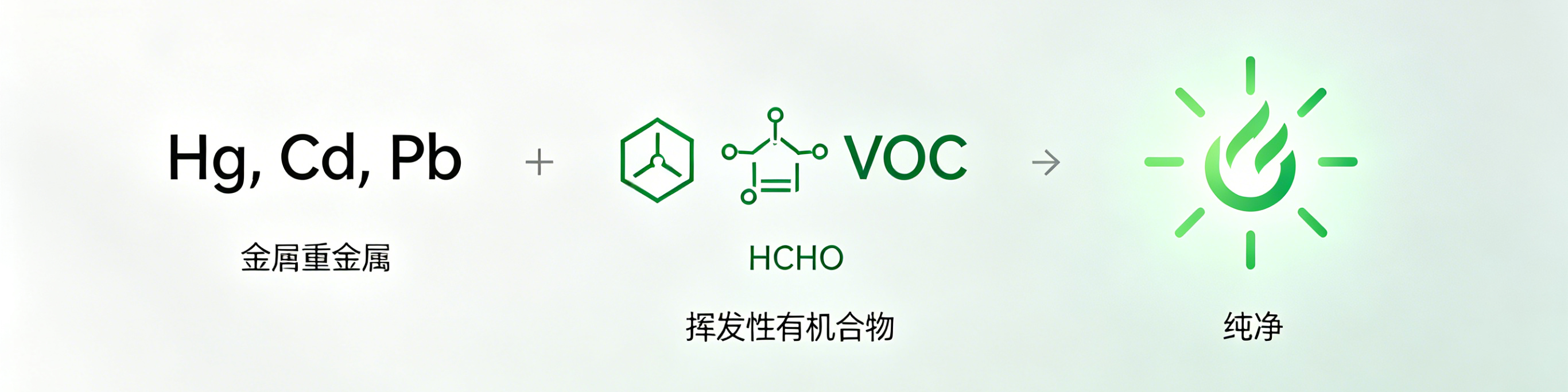 白天鹅.png 白天鹅.png