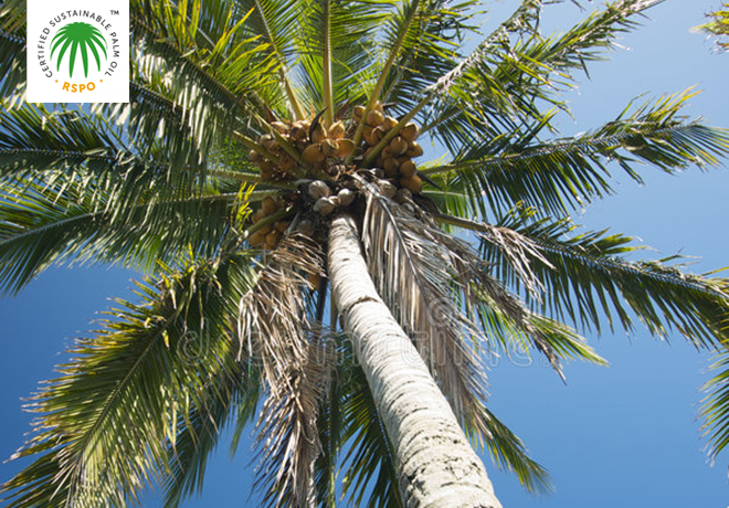 RSPO认证